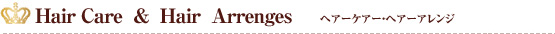 ヘアーケアー・ヘアーアレンジ